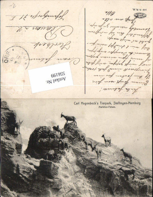 556199,Hamburg Eimsbüttel Stellingen Tierpark Zoo Hagenbecks Tierpark
