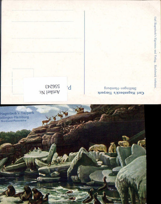 556243,tolle Künstler AK Eimsbüttel Stellingen Hamburg Tierpark Zoo