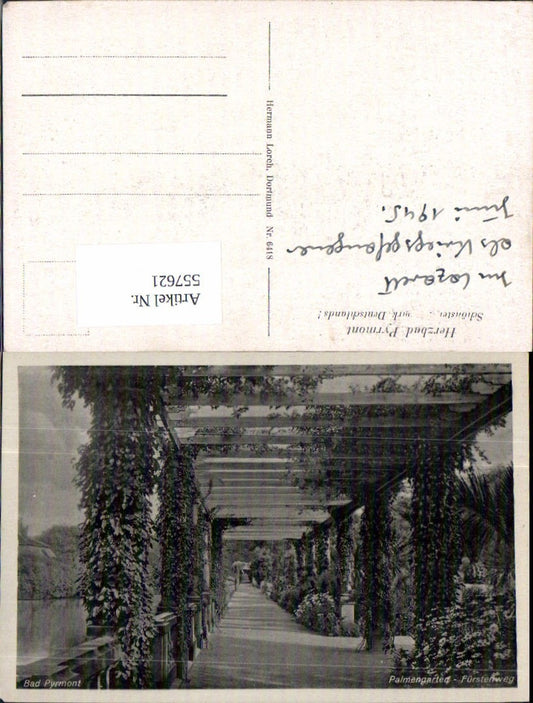 557621,Bad Pyrmont Fürstenweg Palmengarten