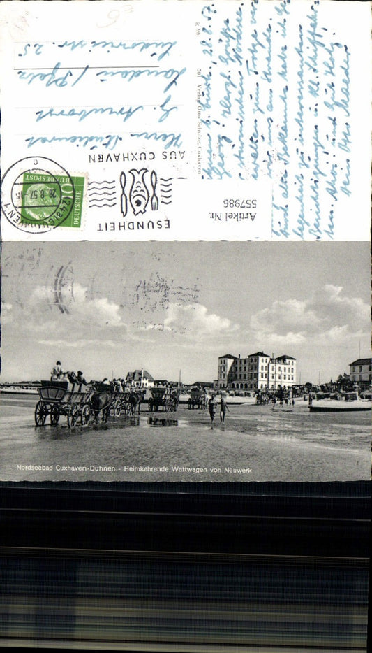 557986,Cuxhaven Duhnen Wattwagen v. Neuwerk Strandleben