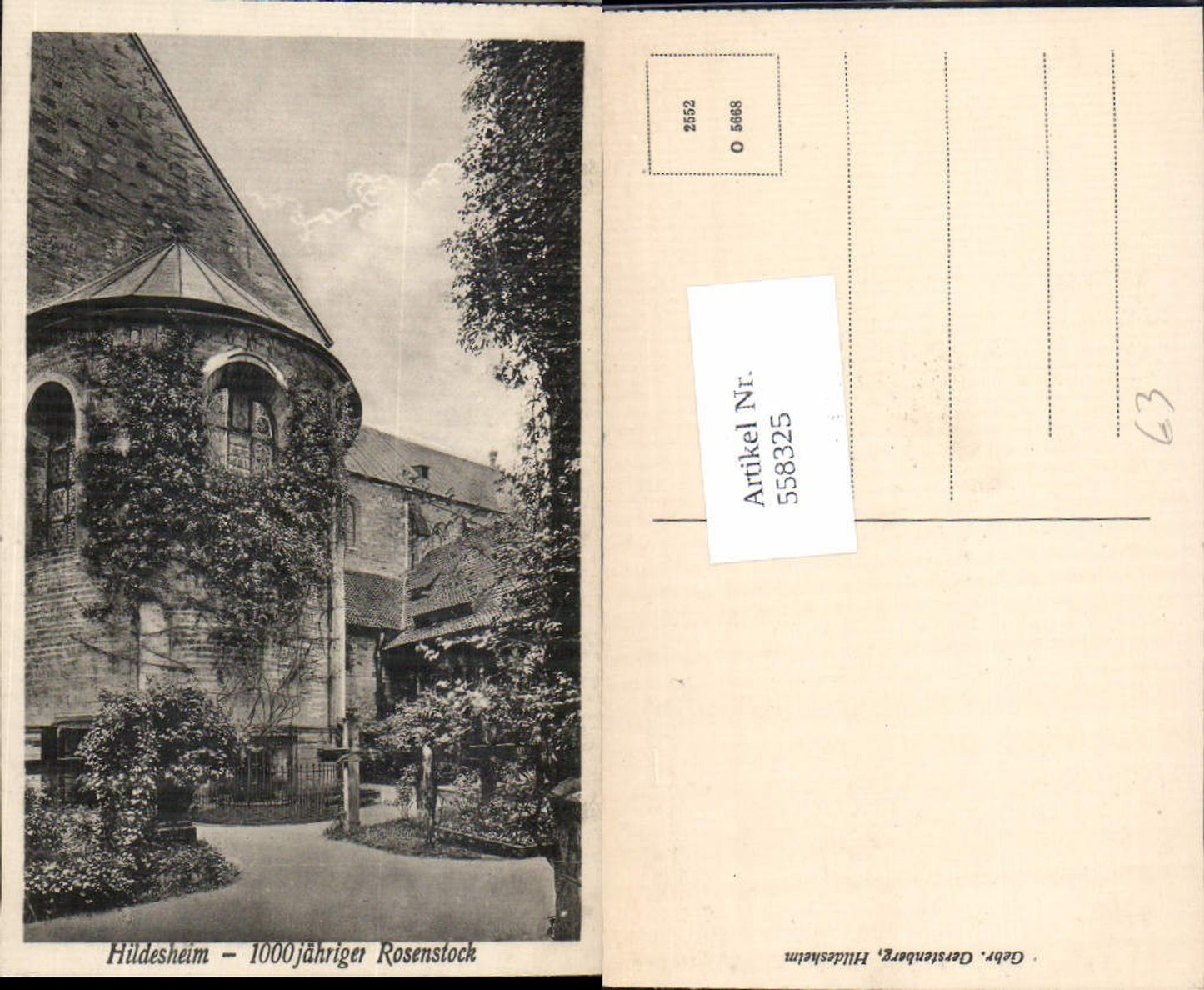 558325,Hildesheim