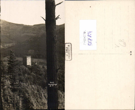 558824, great photo postcard Waldkirch, Kastelburg Castle, Emmendingen district, W. Belz, Waldkirch