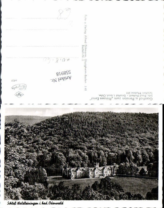 55891, Photo Ak Waldleinigen Castle Odenwald Mudau