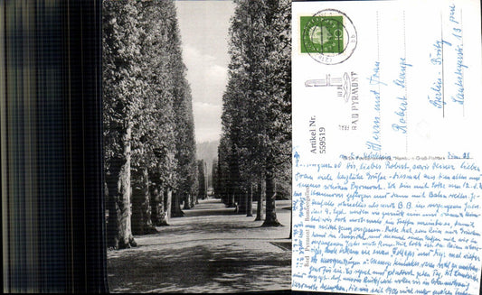 559519,Bad Pyrmont Bombergallee