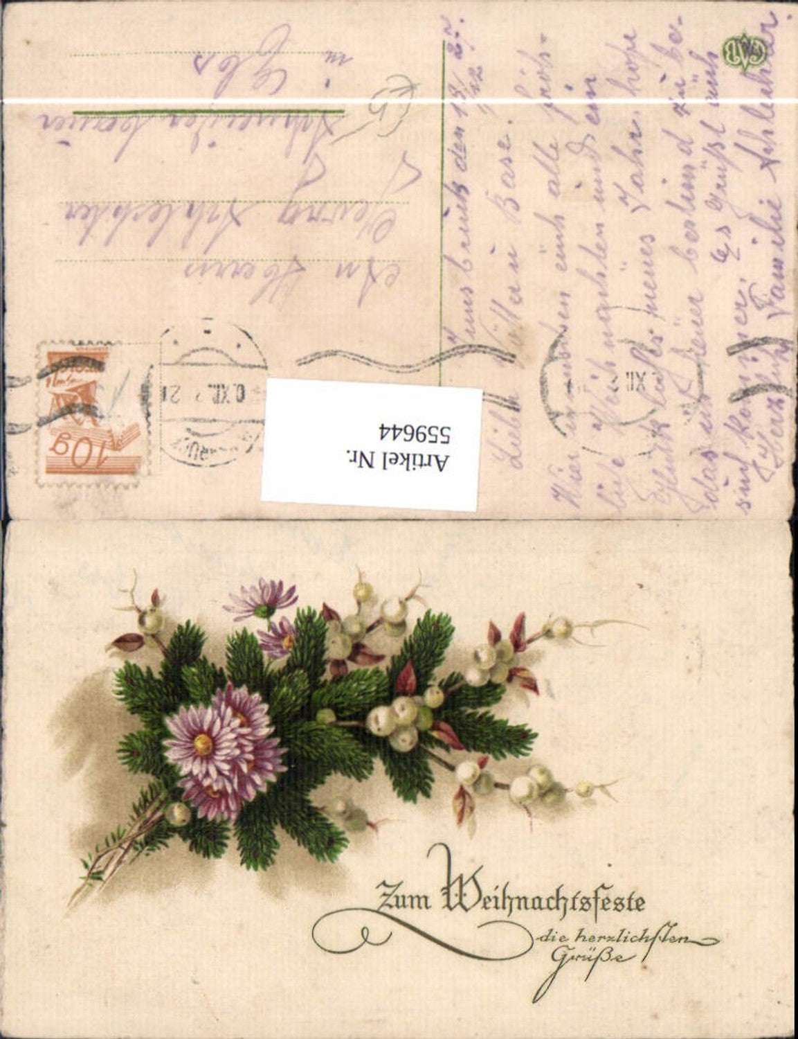 559644,Weihnachten Tannenzweig Beeren Astern Blumen