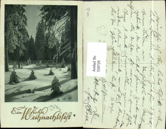 559729,Weihnachten Verschneiter Winterwald Goldschrift