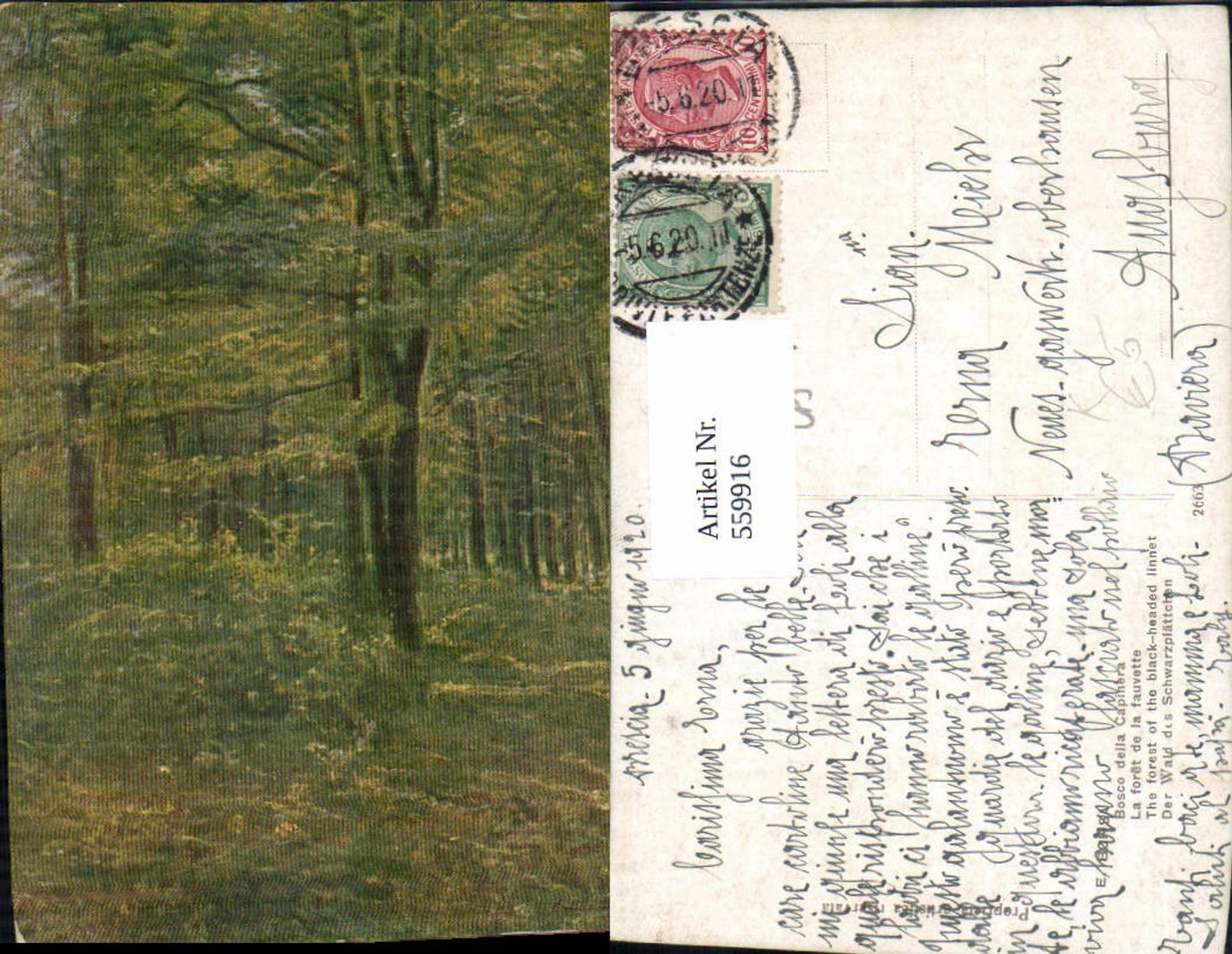 559916,Künstler Ak E. Borsa Italy Bosco della Capinera Der Wald des Schwarzplättchen