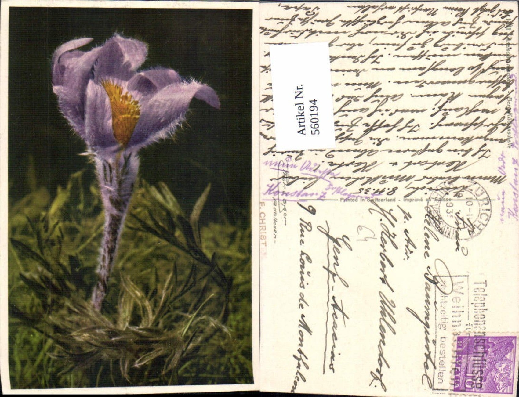 Alte Ansichtskarte – Old Postcard