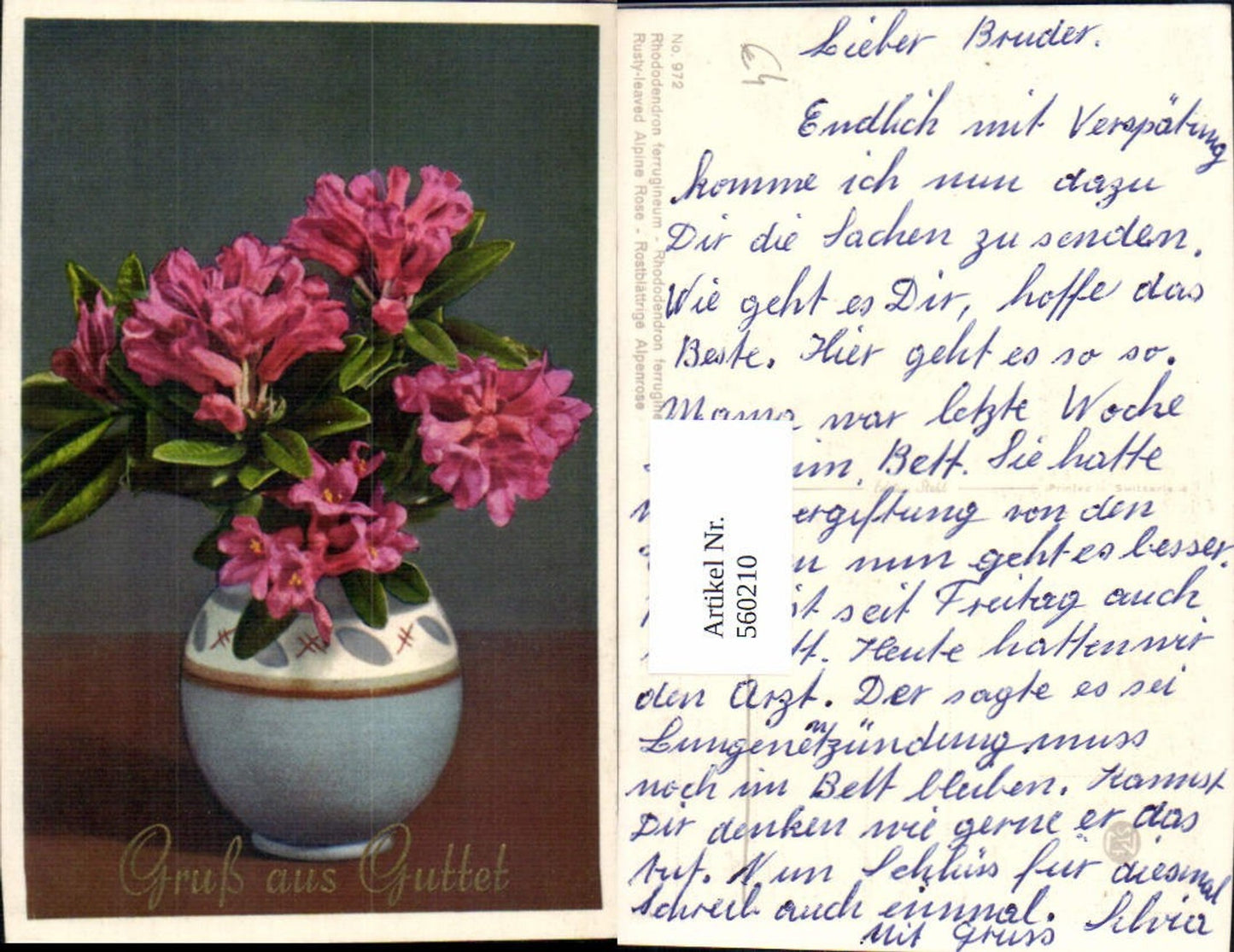 Alte Ansichtskarte – Old Postcard