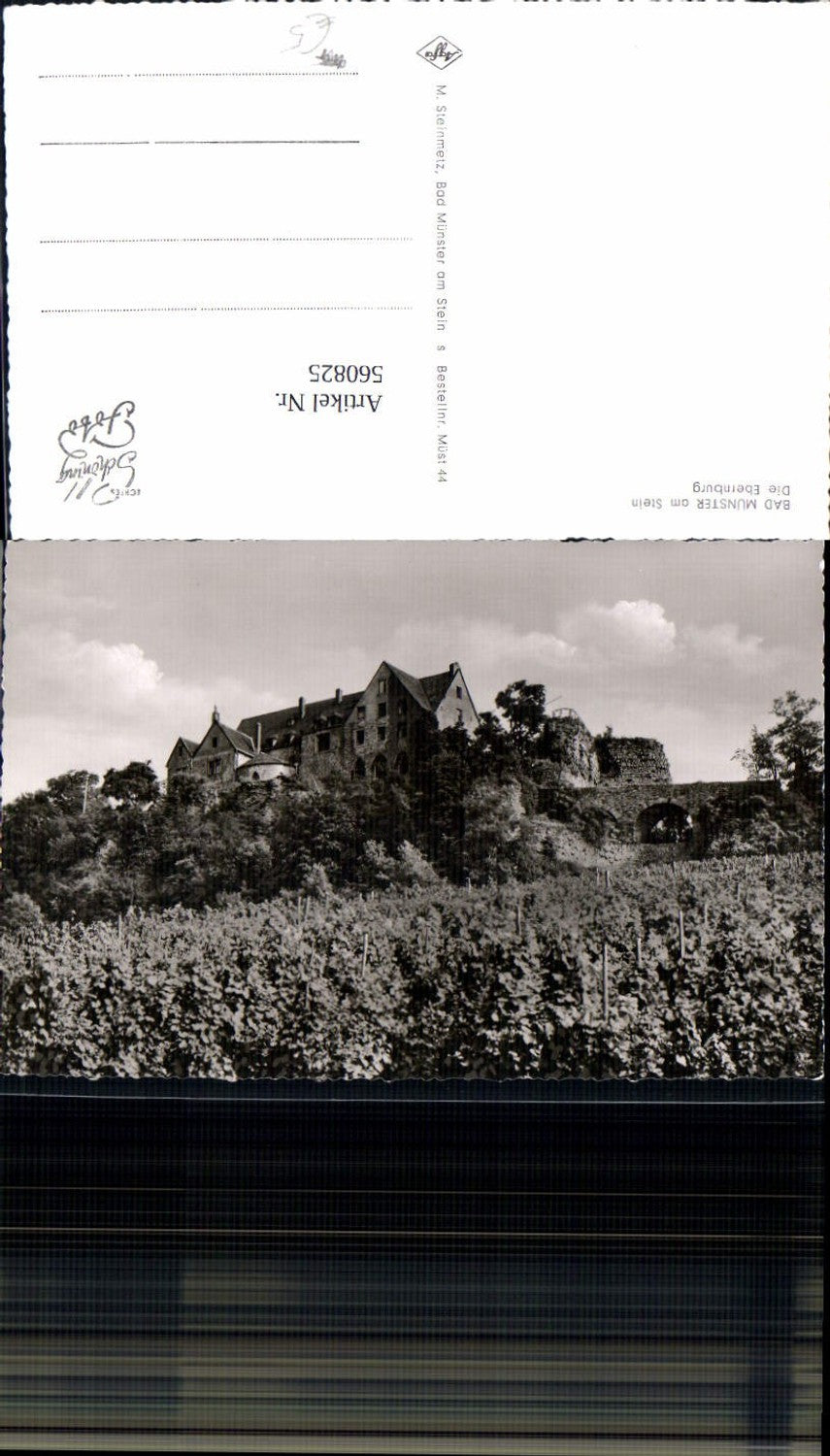 560825,Foto Ak Bad Münster a. Stein-Ebernburg Bad Kreuznach Die Ebernburg Wein Weinanbau