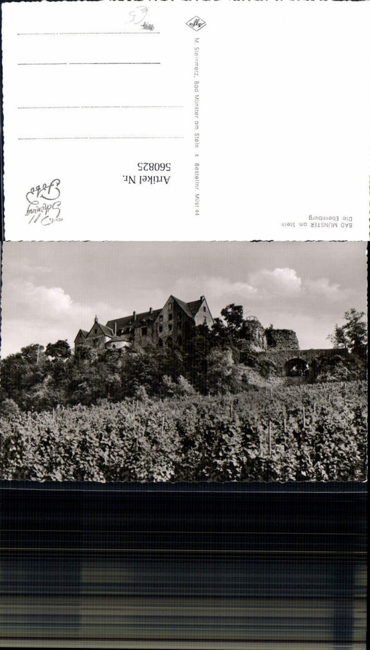 560825,Foto Ak Bad Münster a. Stein-Ebernburg Bad Kreuznach Die Ebernburg Wein Weinanbau