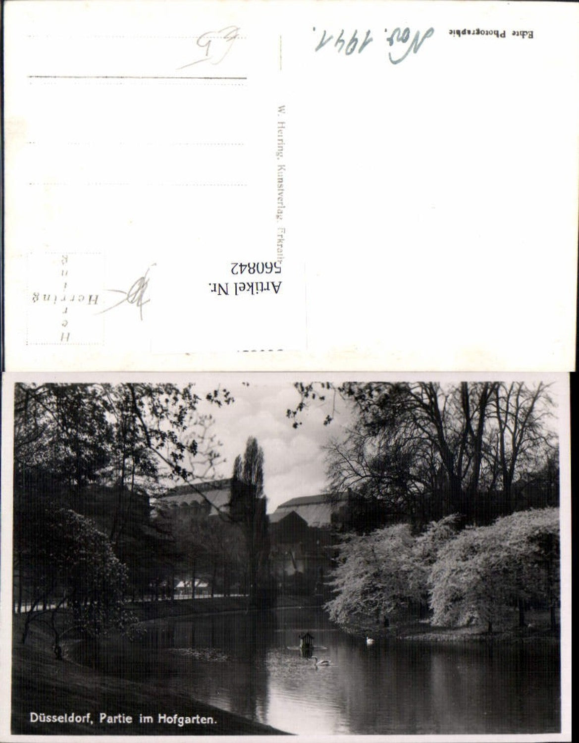 560842,Foto Ak Düsseldorf Partie a. Hofgarten Teich Park