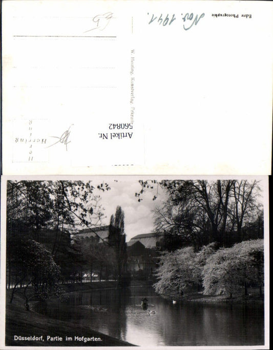 560842,Foto Ak Düsseldorf Partie a. Hofgarten Teich Park