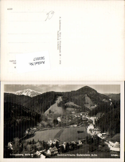 561017,Schneeberg Gutenstein Totale
