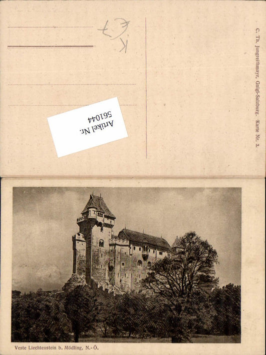 561044,tolle Künstler AK Veste Liechtenstein bei Mödling