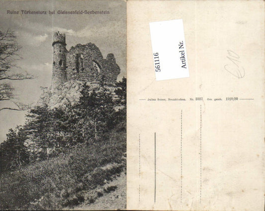 561116,Ruine Türkensturz bei Gleissenfeld Seebenstein pub Seiser 5937
