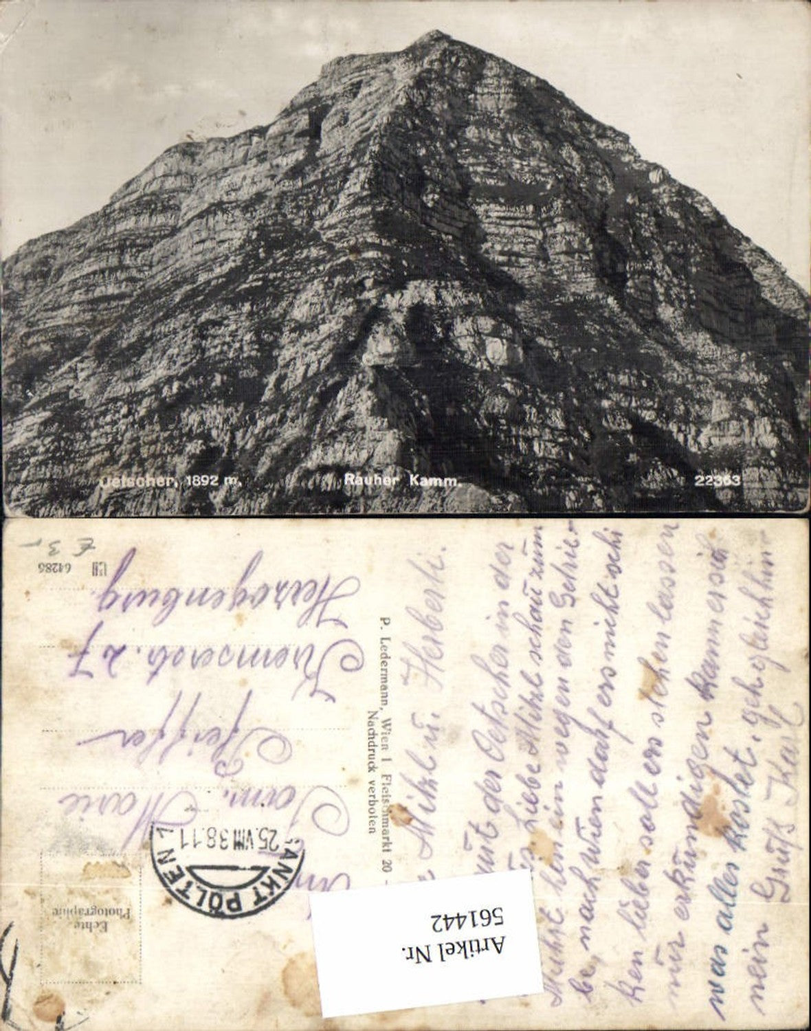 561442,Ötscher Rauher Kamm b. Lackenhof