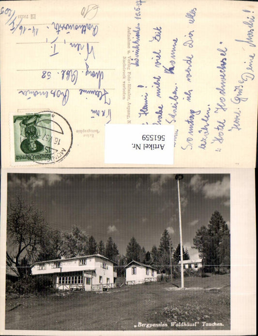561559,Foto Ak Tauchen Mönichkirchen Bergpension Waldhäusl