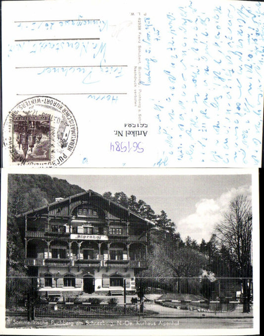561584,Foto Ak Puchberg a. Schneeberg Kurhaus Alpenhof