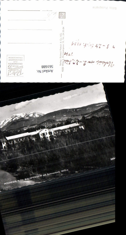 561688,Foto Ak Grimmenstein Hochegg Waldpension m. Schneeberg