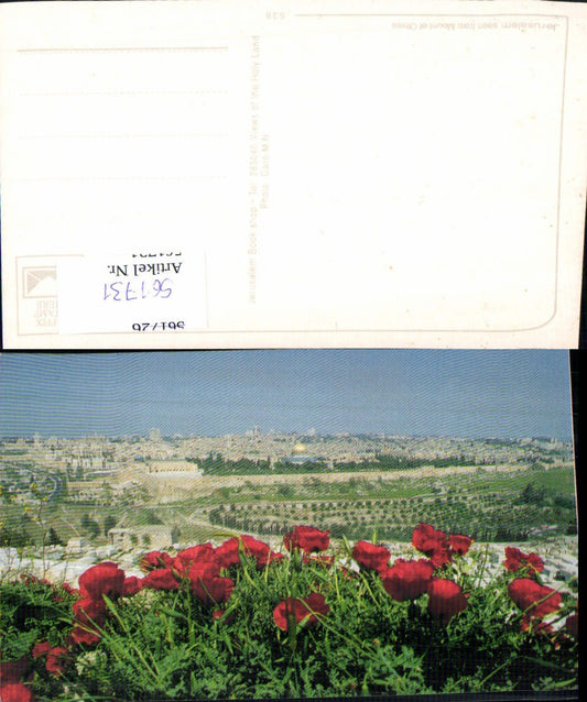 561731,Israel Jerusalem Mohnblumen Klatschmohn