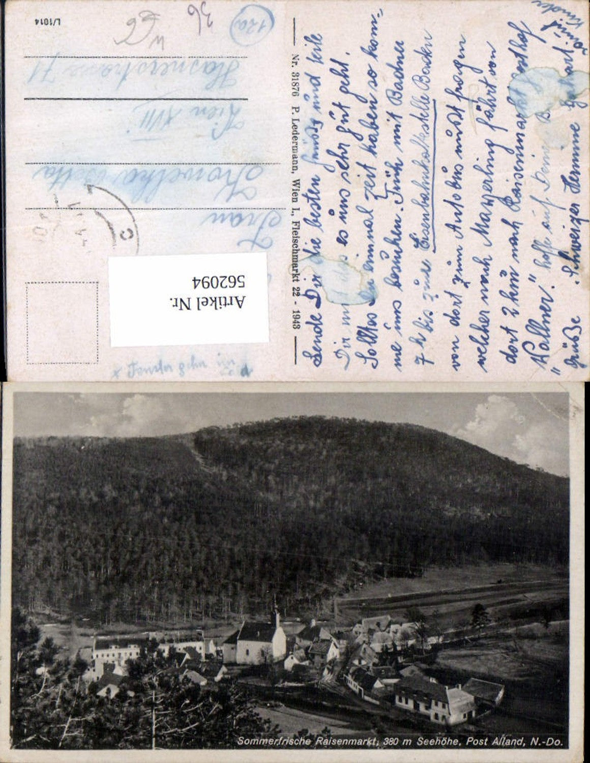 562094,Raisenmarkt bei Alland im Gebirge