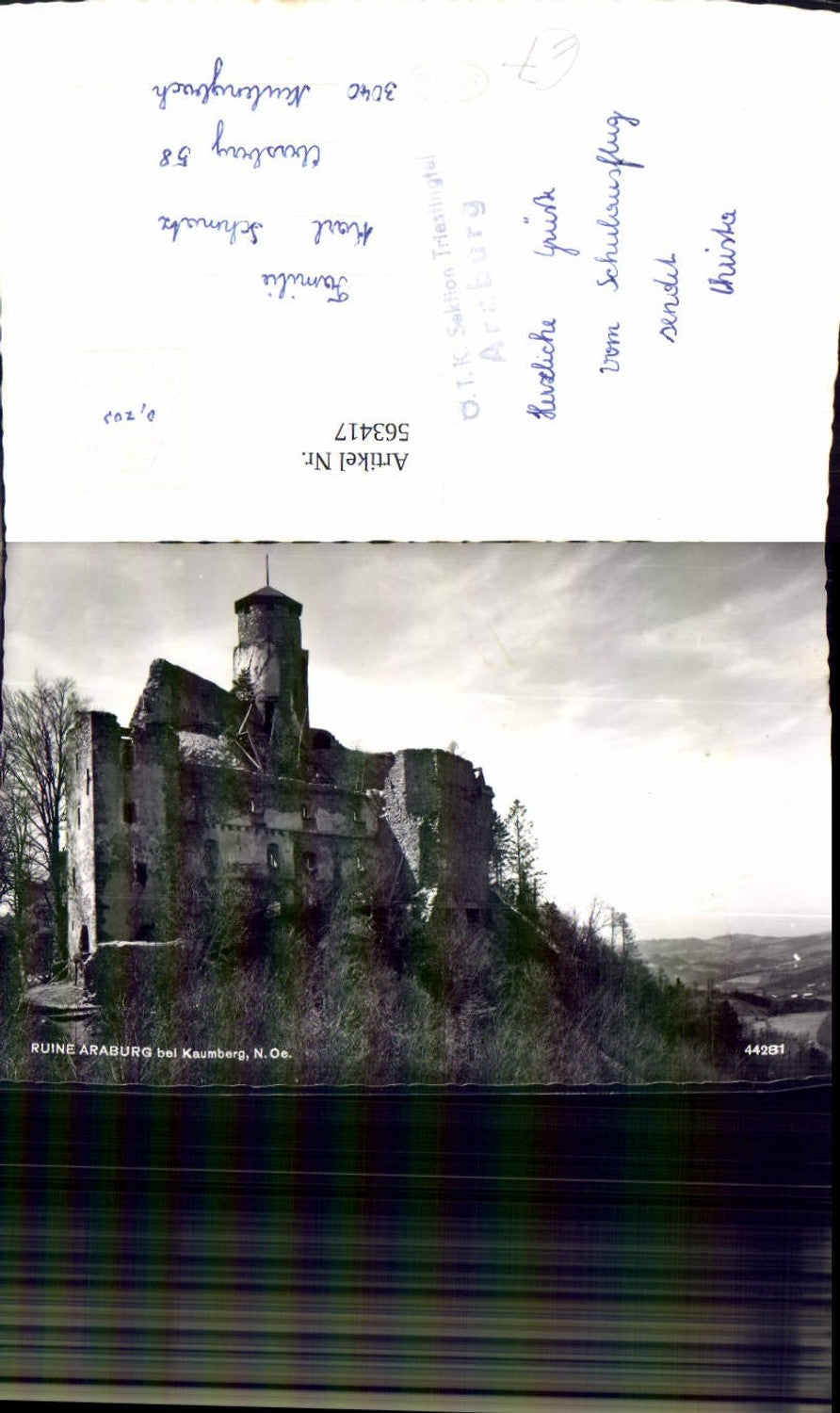563417,Foto Ak Ruine Araburg b. Kaumberg