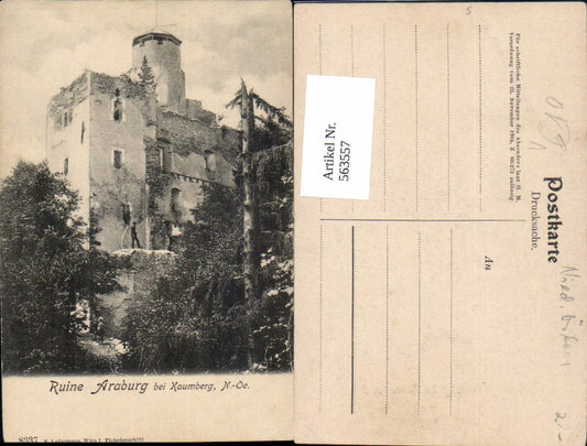 563557,Ruine Araburg b. Kaumberg pub Ledermann 8337