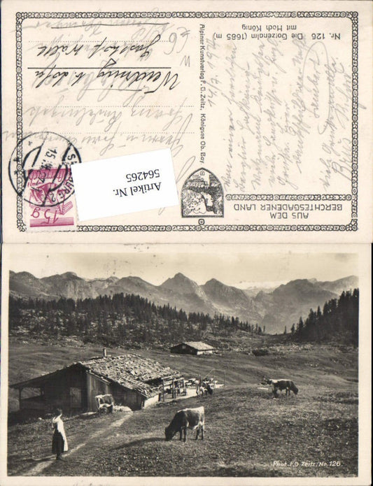 564265, Gotzenalm m. Hochkönig Kessel a. Königssee Rinder Kuhhe