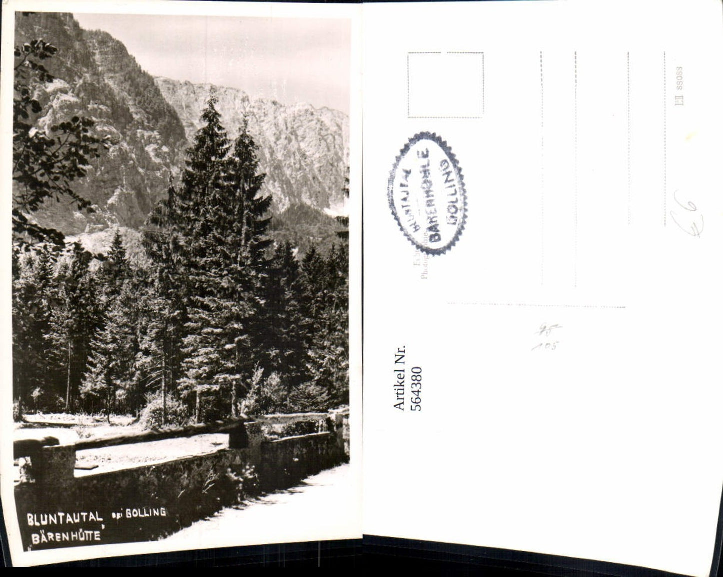 564380,Foto Ak Bluntautal b. Golling Bärenhütte