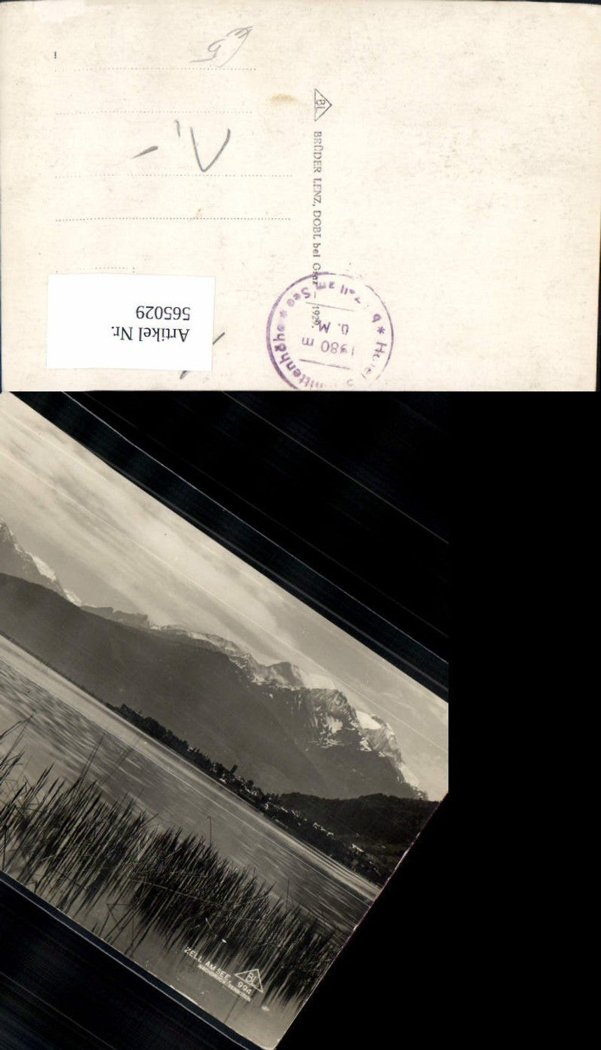 565029,Foto Ak Zell am See Ansicht m. Ufer Schilf