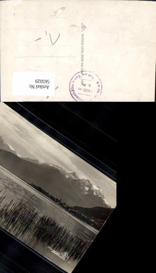 565029,Foto Ak Zell am See Ansicht m. Ufer Schilf