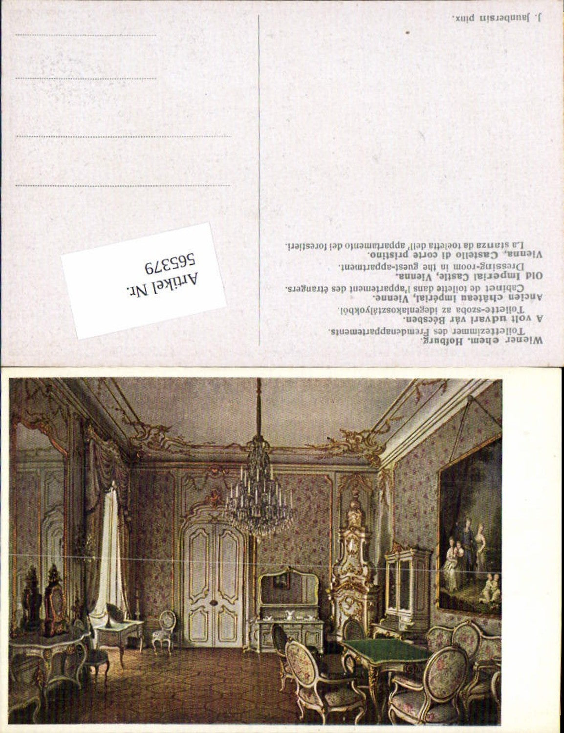 565379,Künstler AK J. Jaunbersin Wien ehem. Hofburg