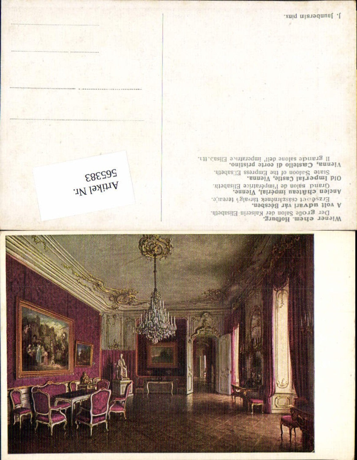 565383,Künstler AK J. Jaunbersin Wien ehem. Hofburg