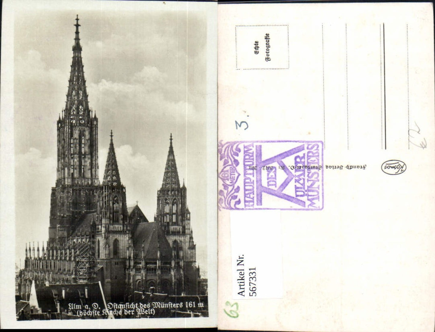 567331,Foto Ak Ulm a. d. Donau Münster