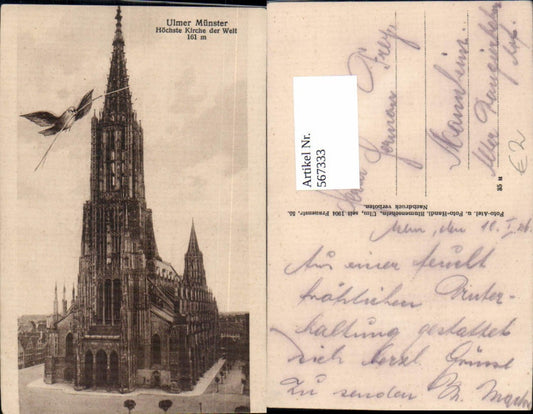 567333,Fotomontage m. Taube Ulm a. d. Donau Münster