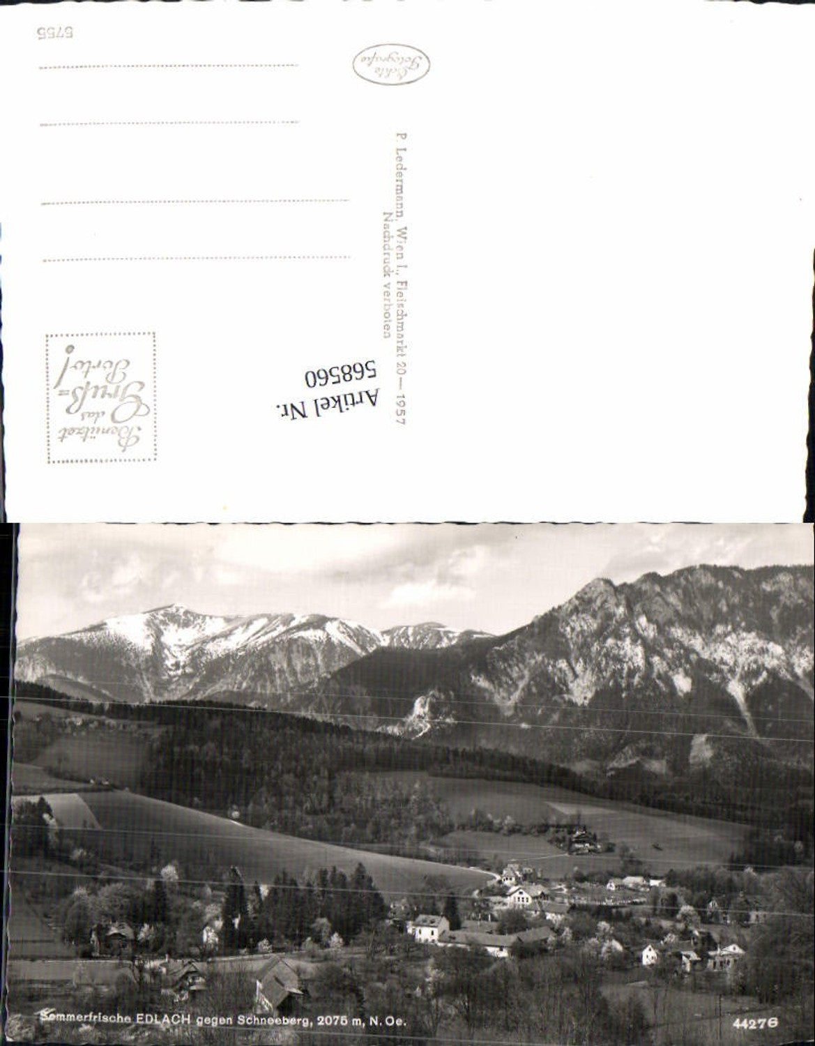 568560,Edlach gegen Schneeberg