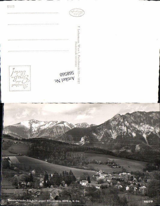 568560,Edlach gegen Schneeberg