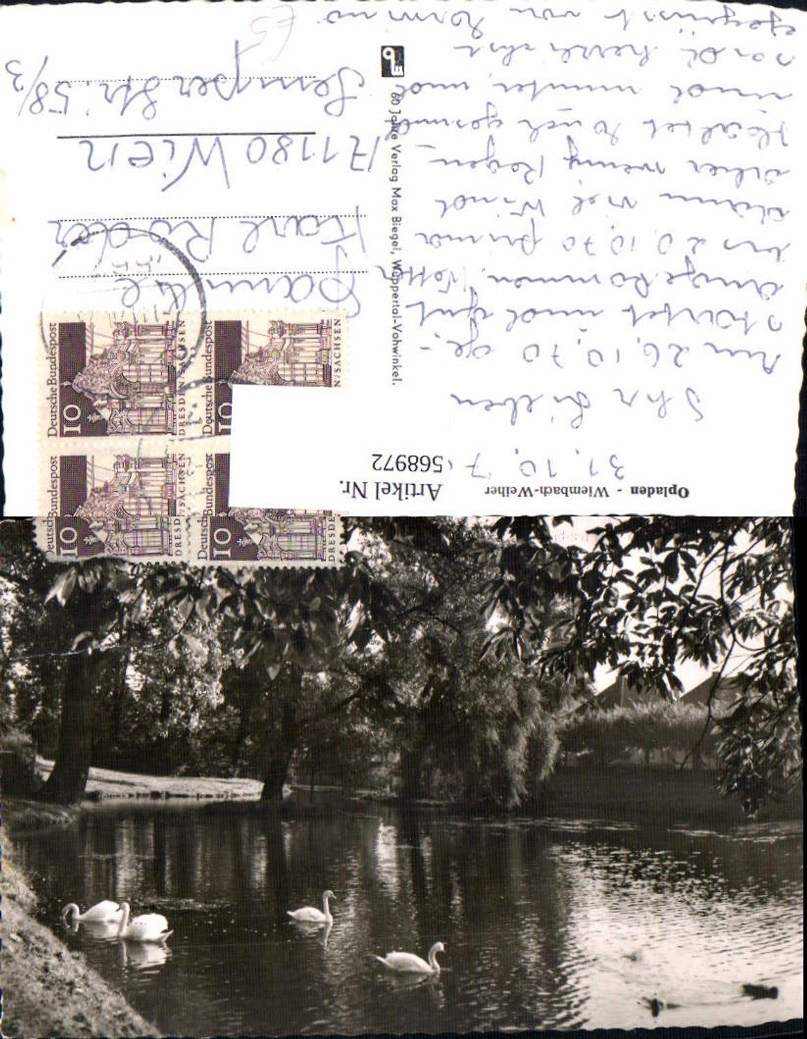 568972,Leverkusen Opladen Weimbach-Weiler Schwan Schwäne