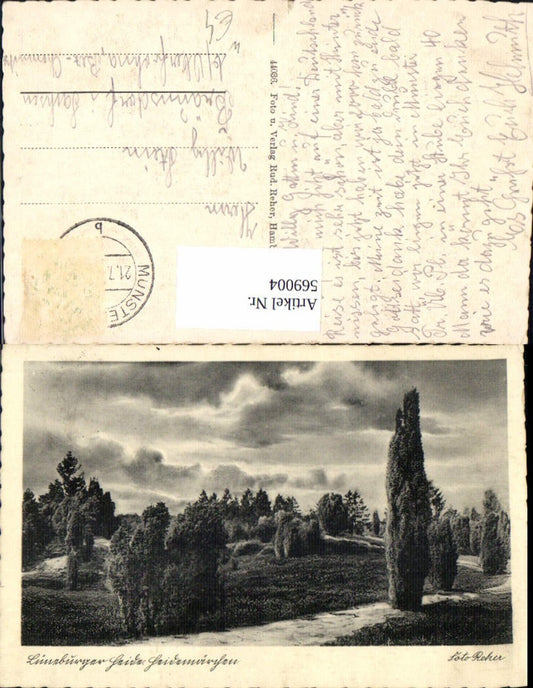 569004,Munster Lüneburger Heide