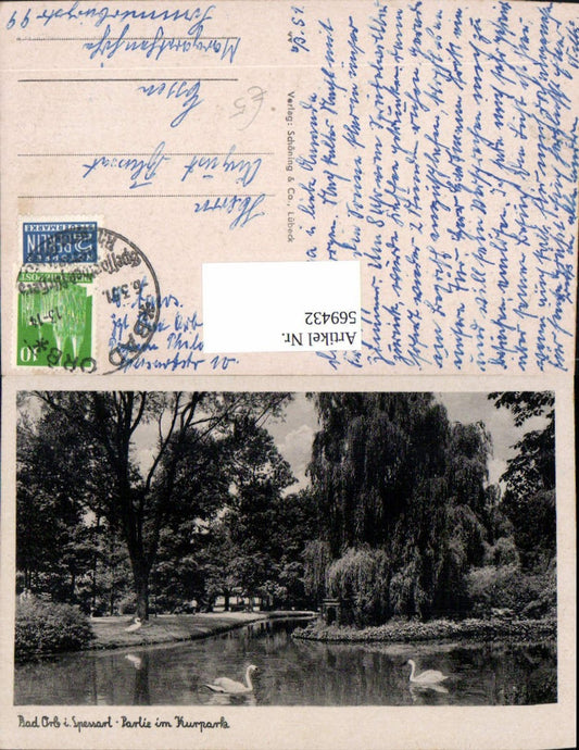 569432,Bad Orb Spessart Partie Kurpark Schwan Schwäne