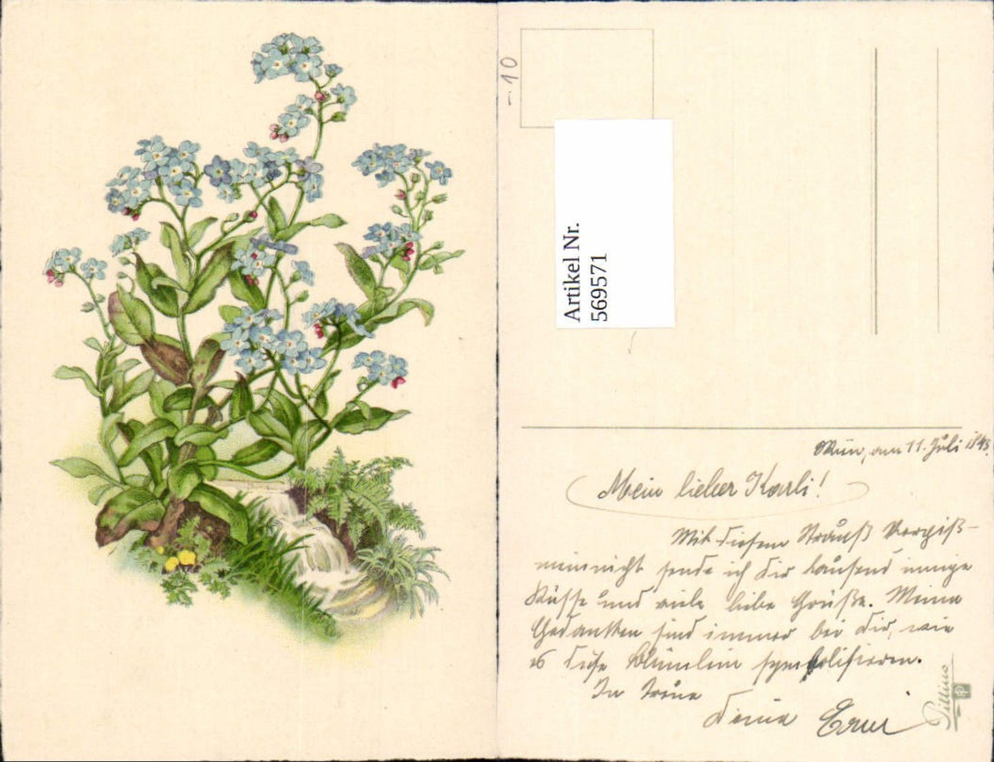 569571,Künstler AK Botanik Blumen