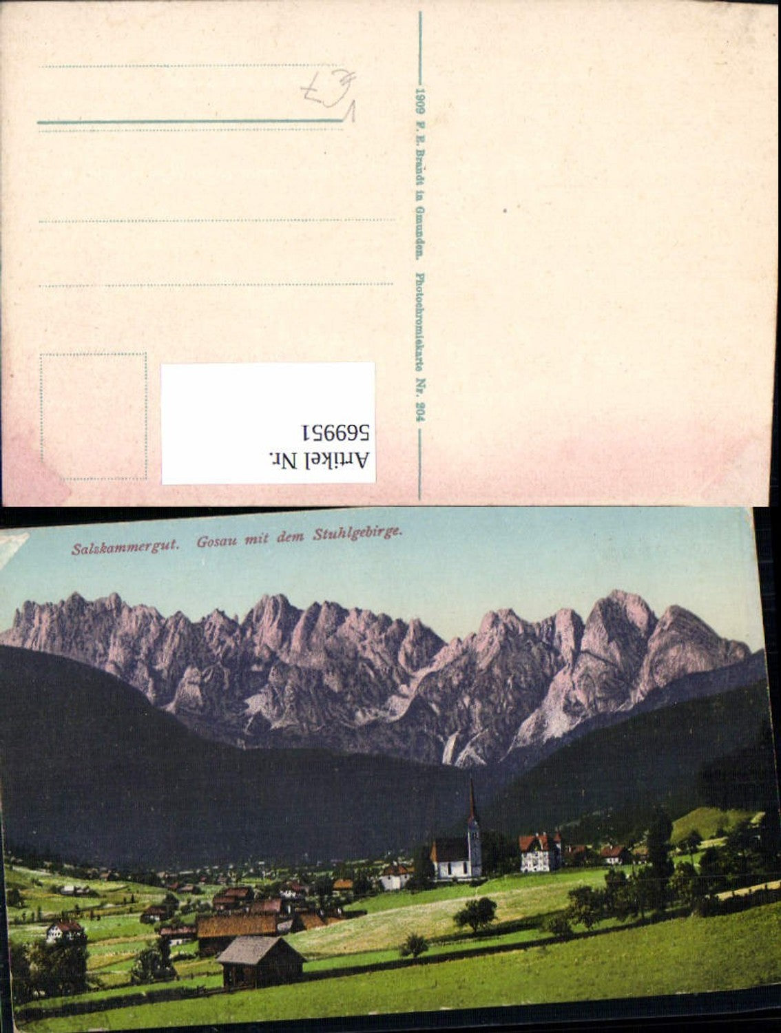 569951,Gosau m. d. Stuhlgebirge Salzkammergut pub F. E. Brandt 204