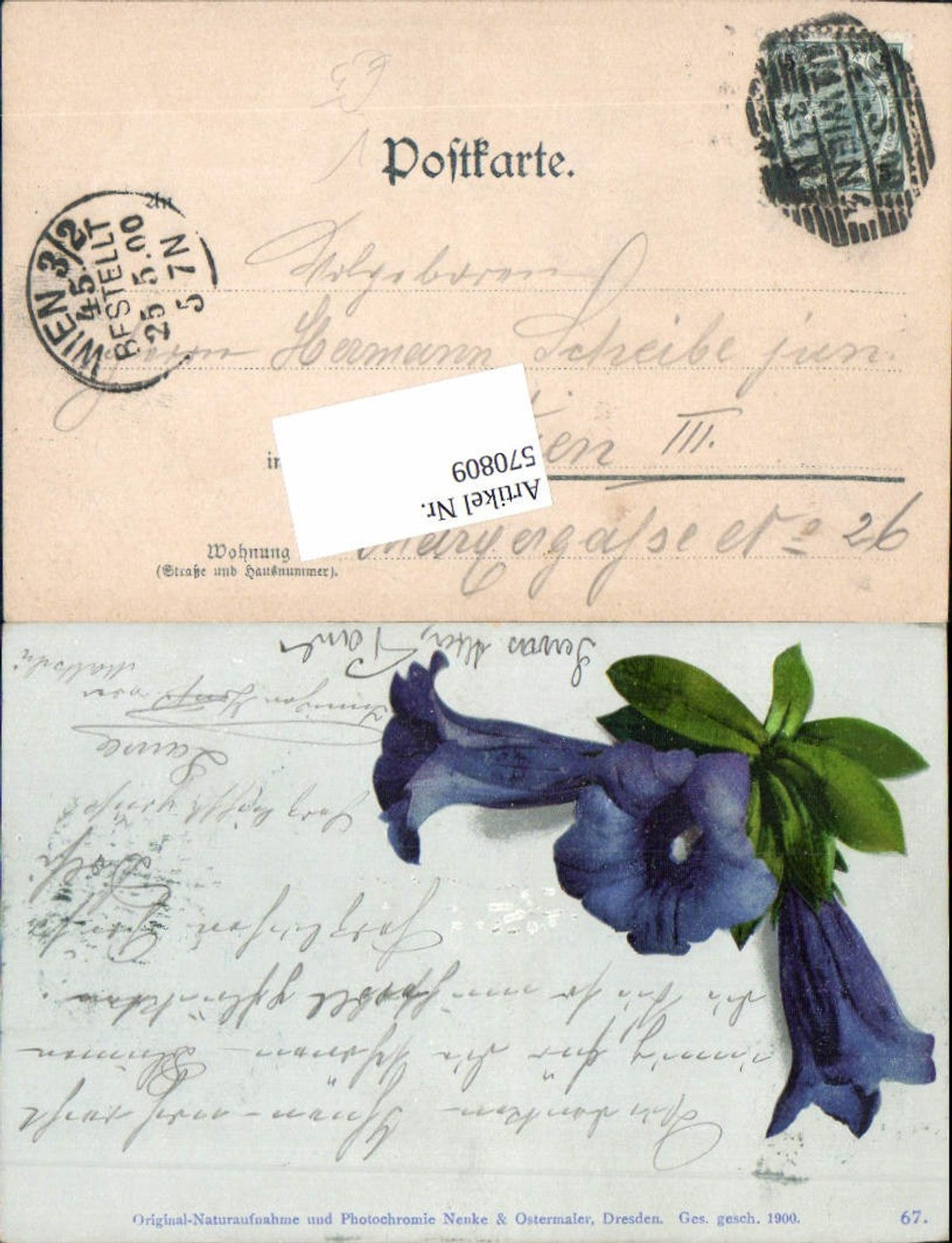 570809, Artist AK Photochromie Nenke &amp; Ostermaier 67 Flowers
