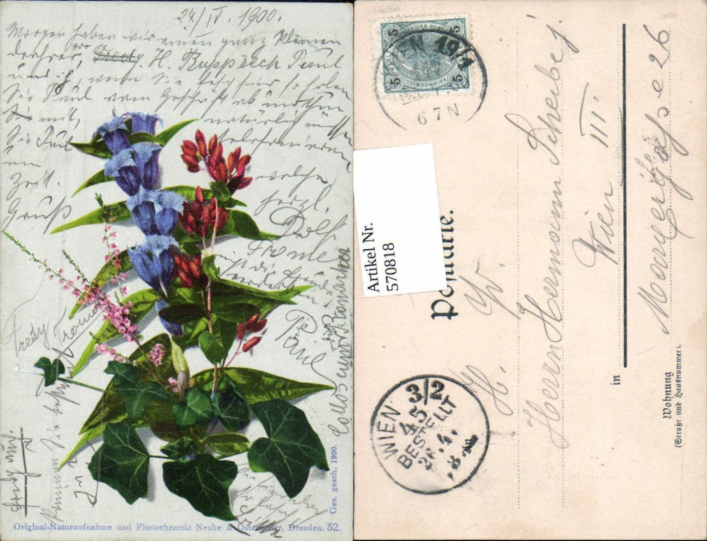 570818,Künstler AK Photochromie Nenke & Ostermaier Nr. 52
