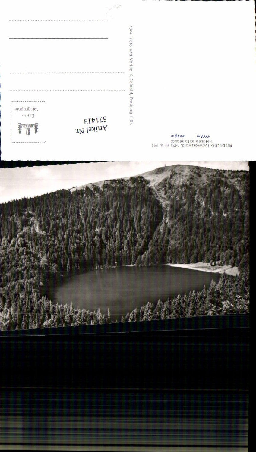 571413, Feldberg Feldsee Black Forest Seebuck