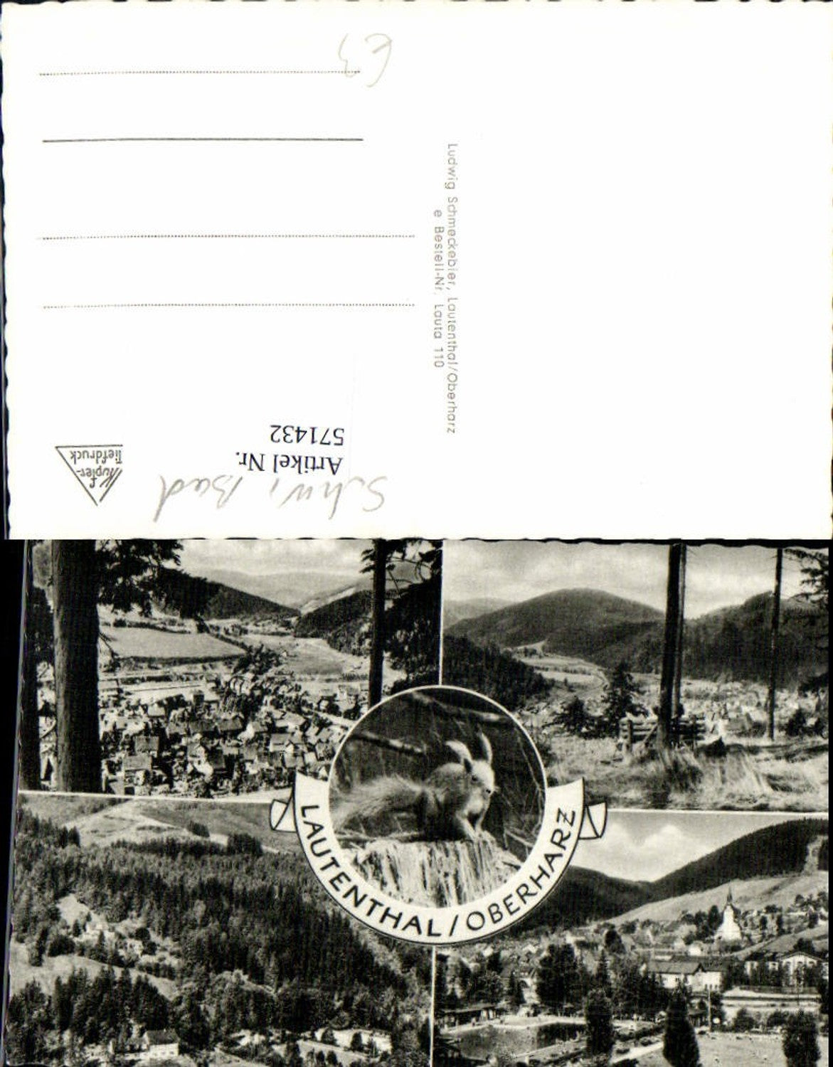 571432,Lautenthal Oberharz Eichhörnchen Langelsheim