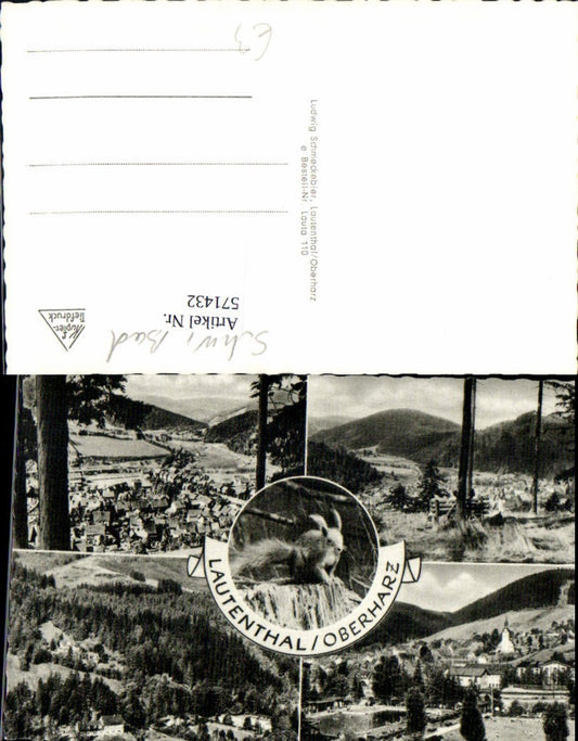 571432,Lautenthal Oberharz Eichhörnchen Langelsheim