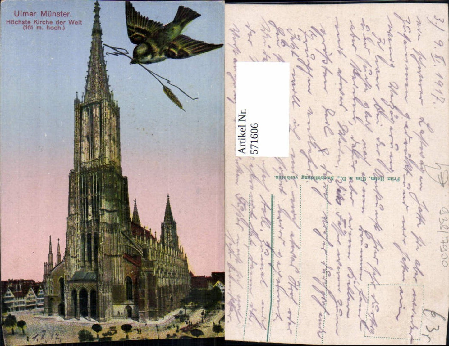 571606,Fotomontage Ulm a. d. Donau Münster Vogel