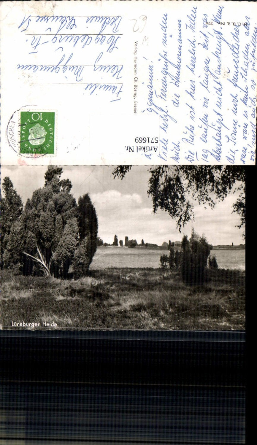 571669,Lüneburger Heide b. Lüneburg Landschaft